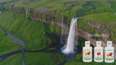Go Healthy Liquid Multivitamin better absorption easy to take vitamins multivitamin liquid